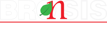 BROnSIS studio